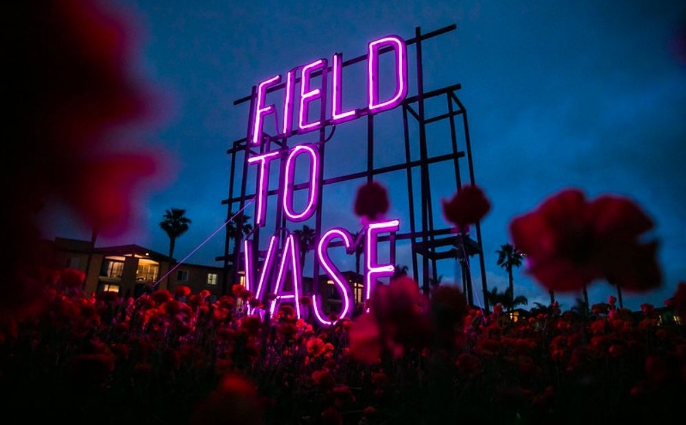 Field to Vase dinner