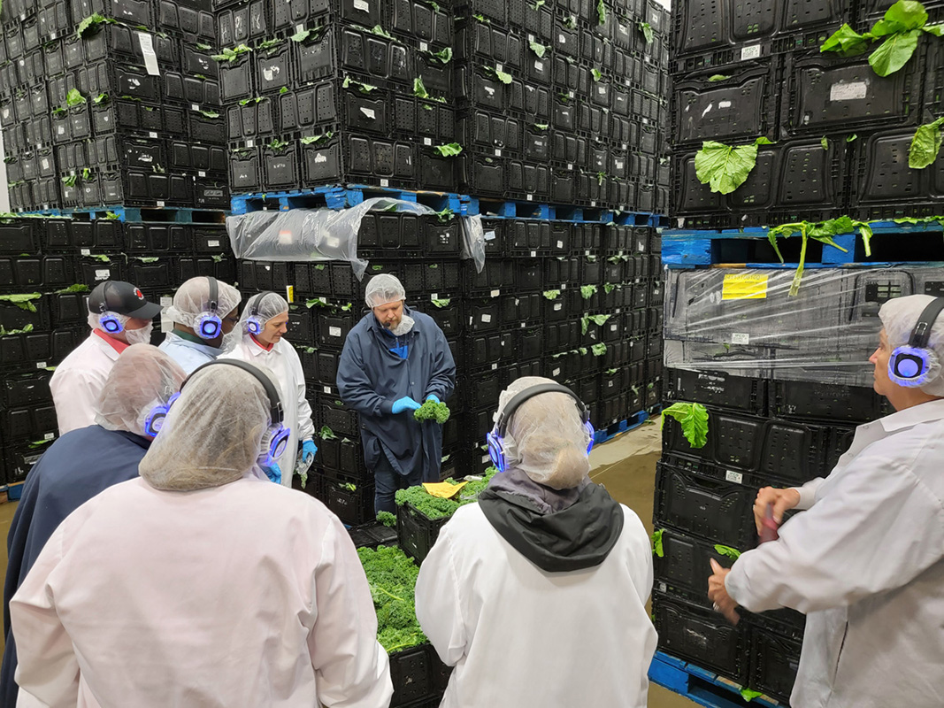 John Williams, director of sales and marketing at Superfit Greens, showed some collard greens to the class.