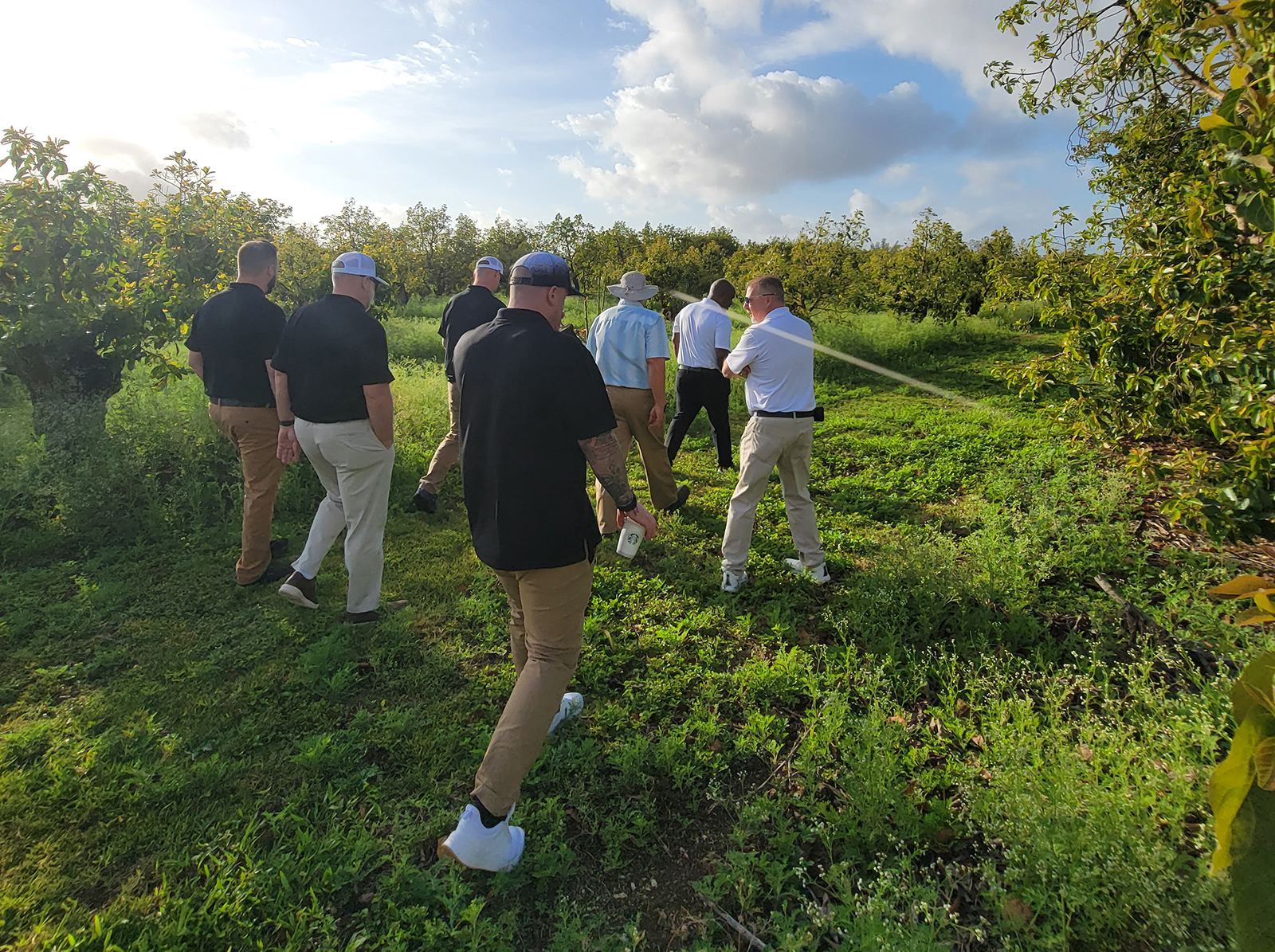 Grower Tony Mendoza takes the group through the avocado and mango groves.