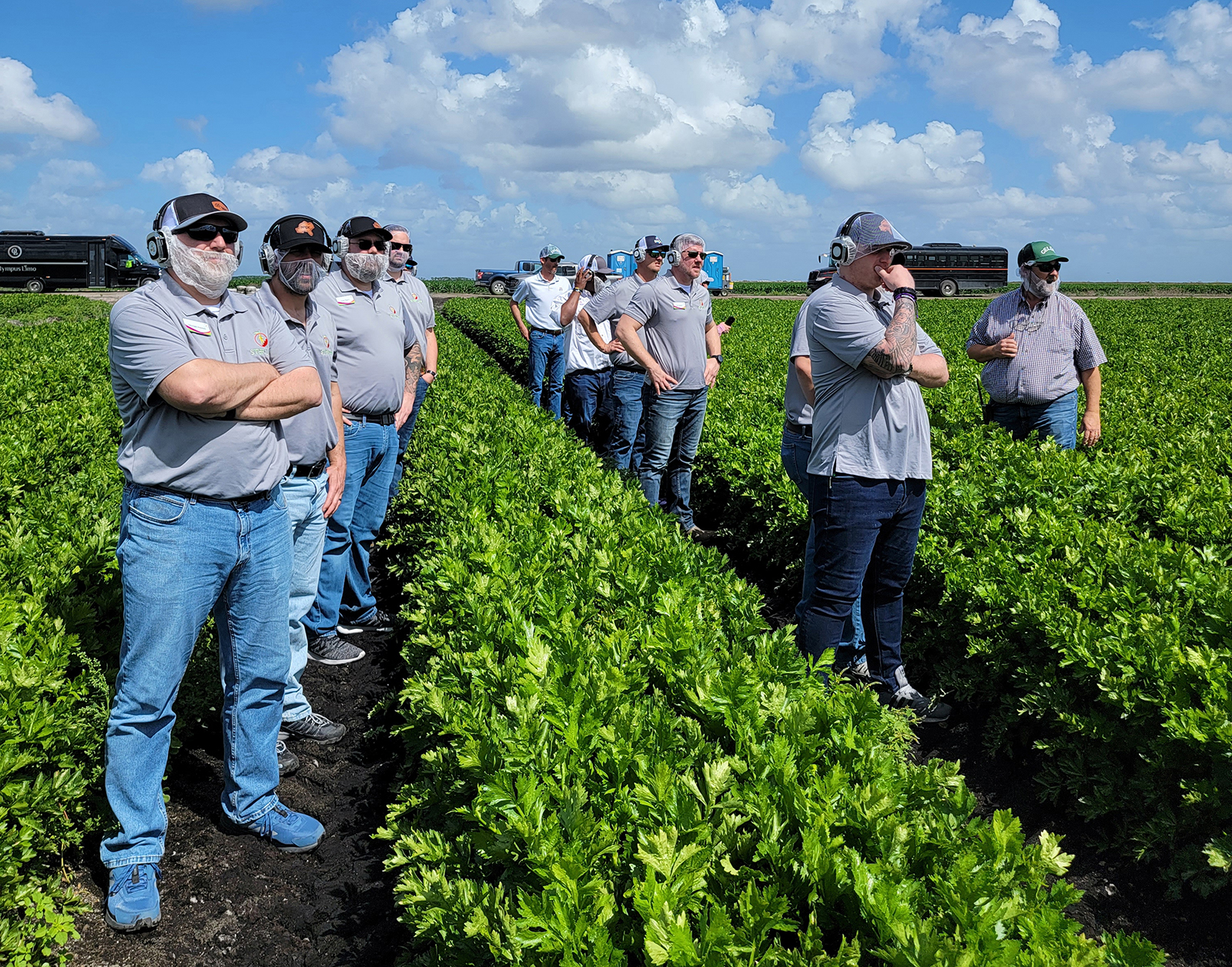 The class looks on as celery is being harvested from field to bag.