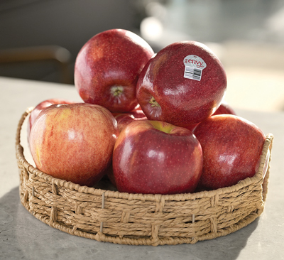 envy apple