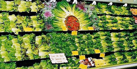 lettuce