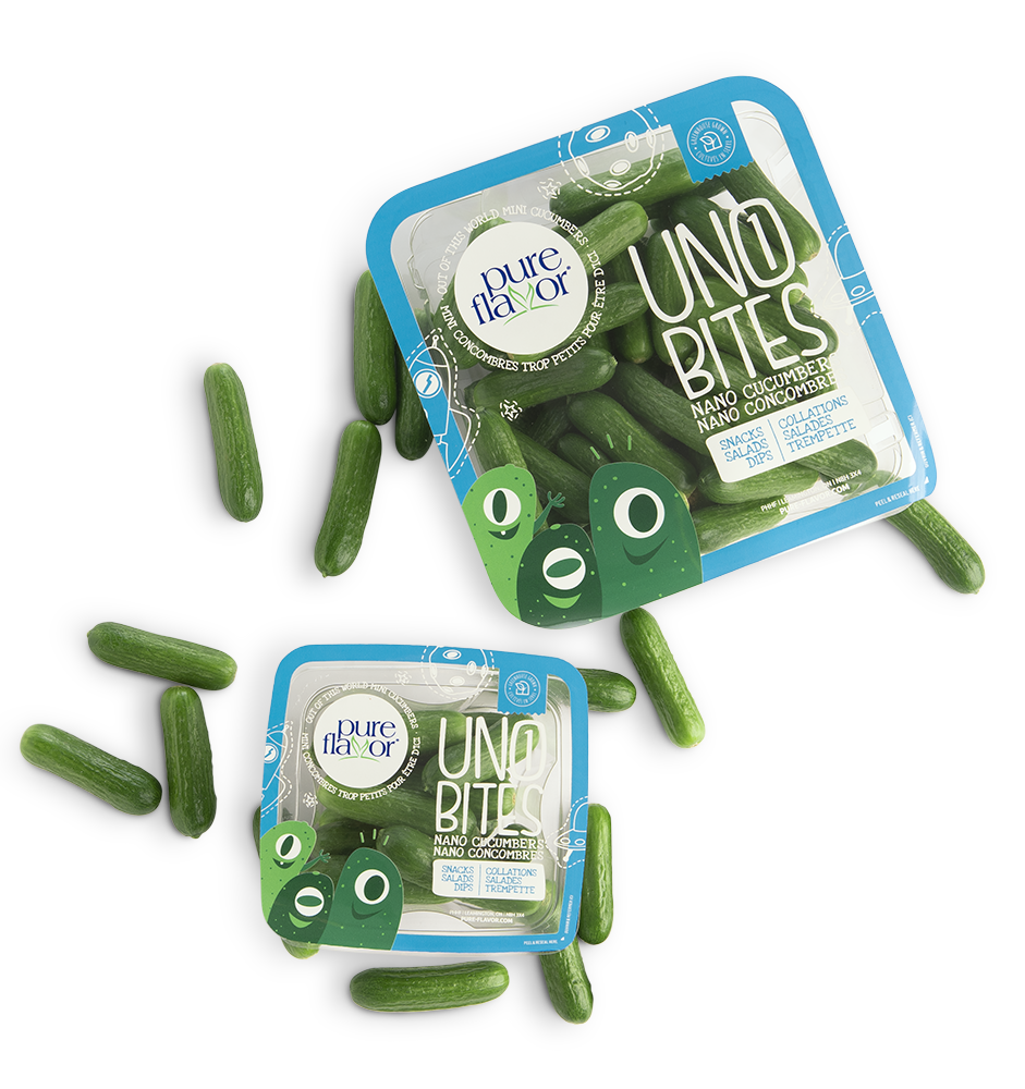 snacking cucumber