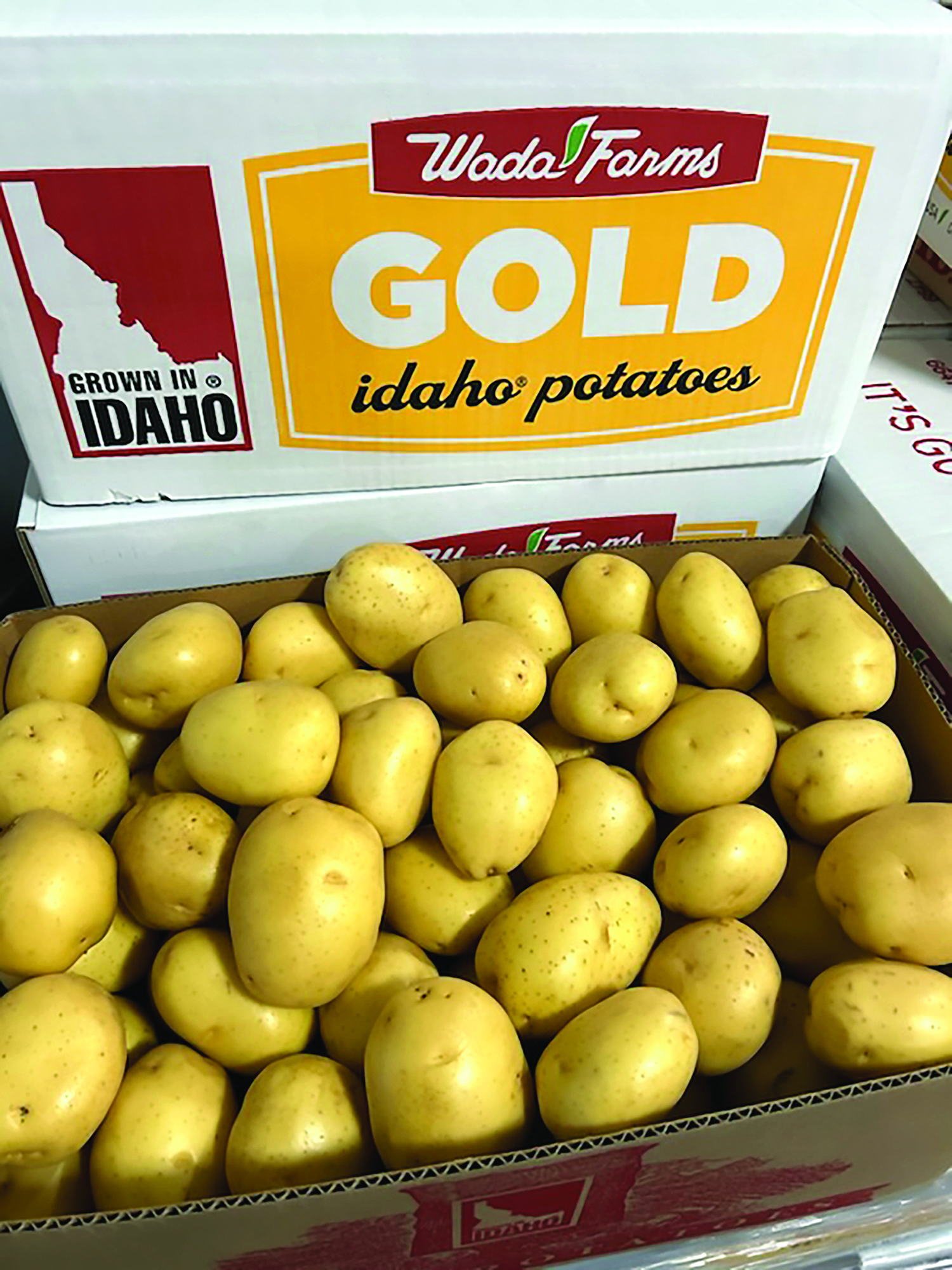 potato