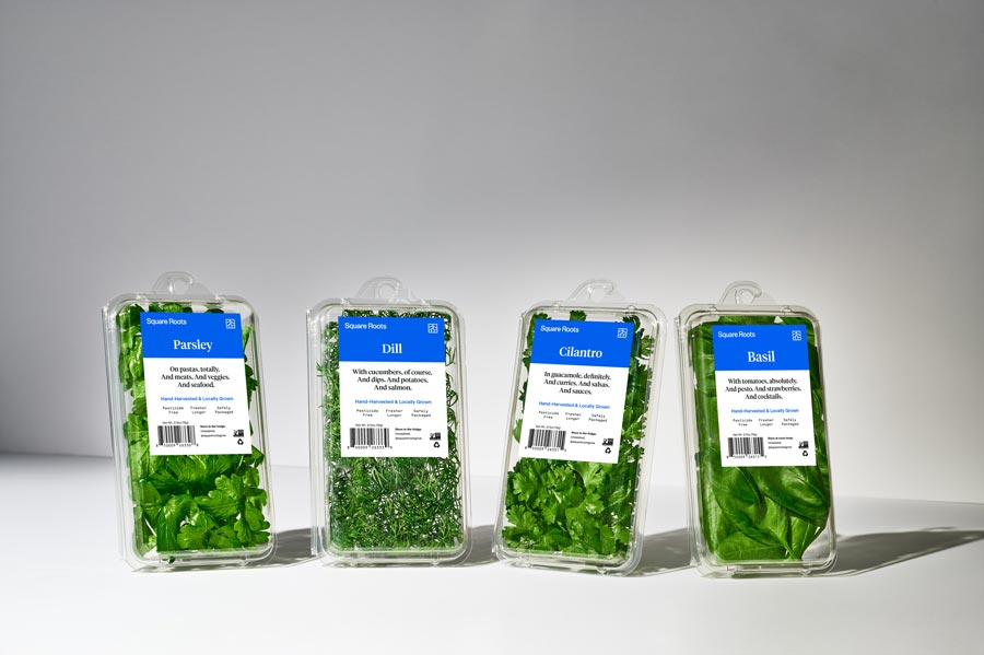 herbs