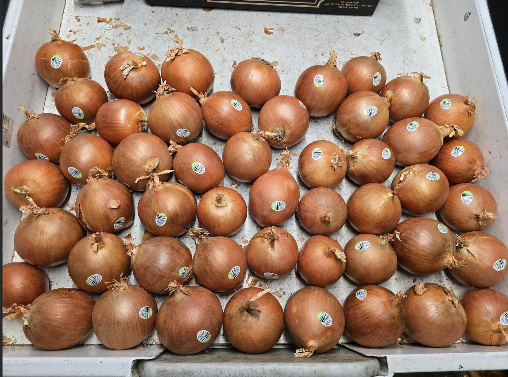 Storage Onions