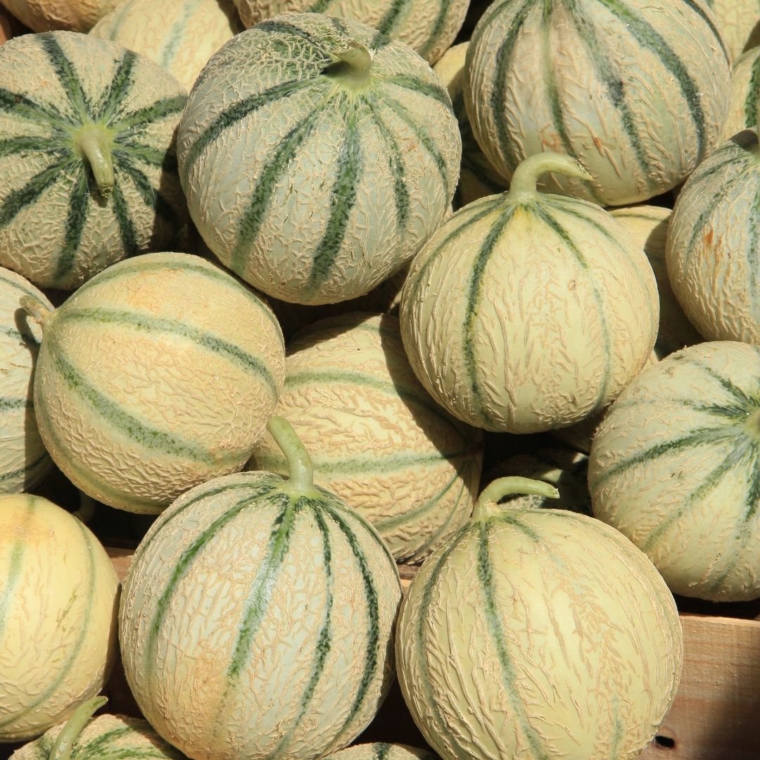 crop