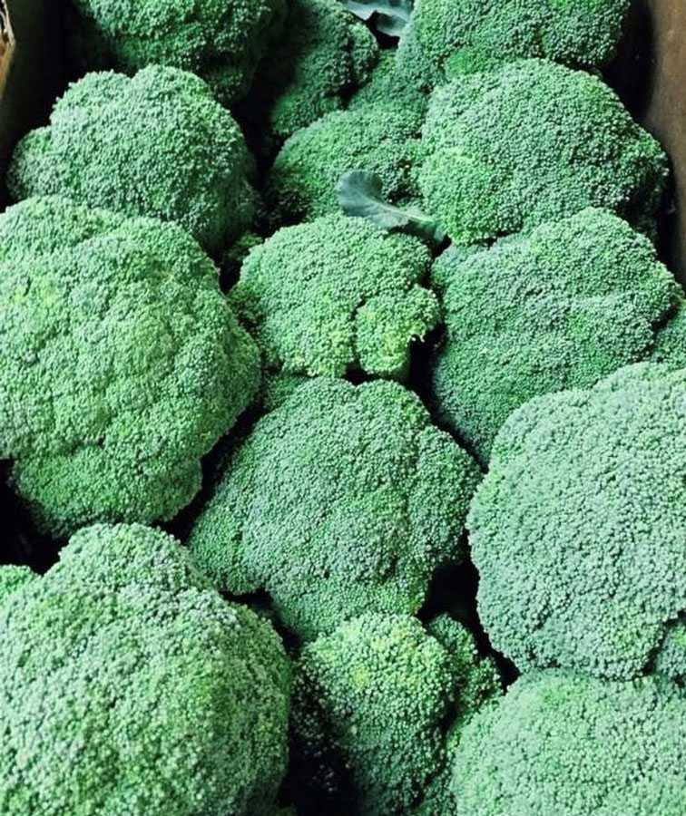 parker farms