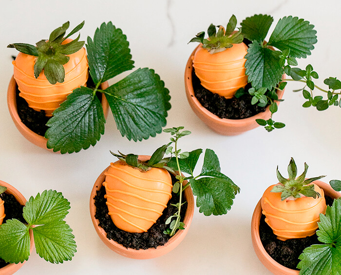 strawberries