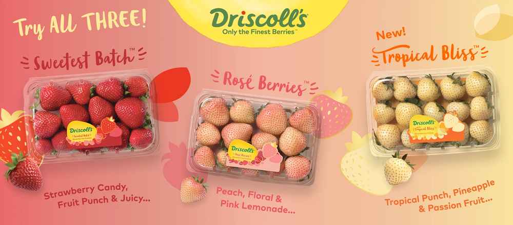 the three strawberries described below