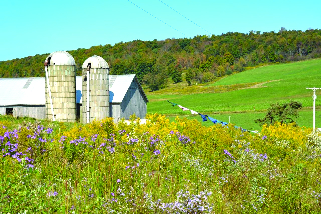 farm