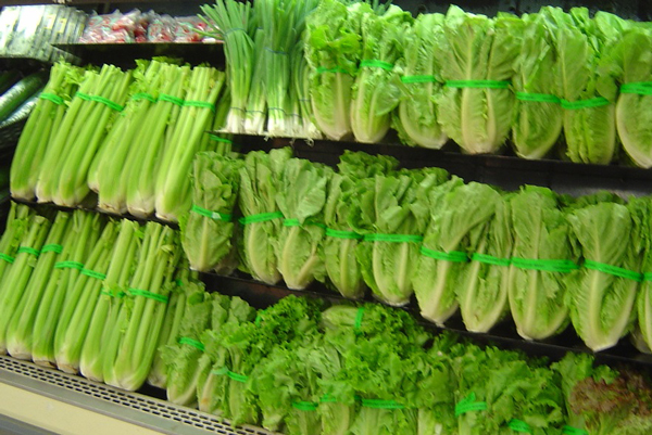 lettuce