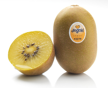 Giumarra Wenatchee marketing Jingold Italian kiwifruit for winter