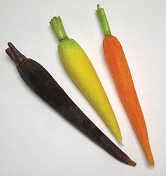 Carrots-Rainbow2