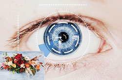 Eyes2