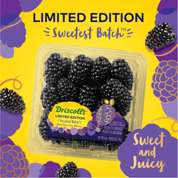 Driscolls-LE-Blackberries-Press-Photo3
