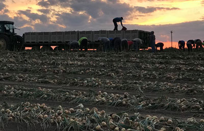 generationfarms