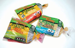 Sesame-Organic-Group-2