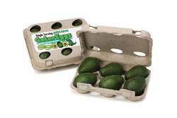 Avocado Cartons
