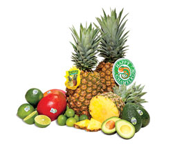 Robinson-Fresh-Tropical-Family-Image