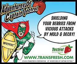 The-Adventures-of-Captain-Tectrol---Strawberry