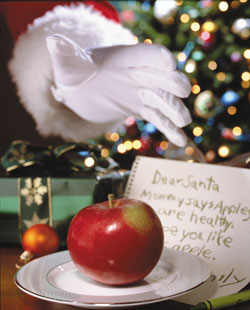 santaMcIntosh
