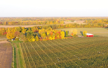 DJI 0046
