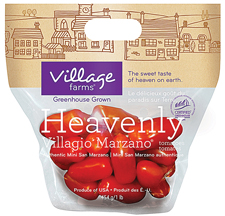 1lb-MSM-bag-small