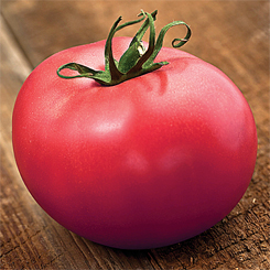 Rosado---Pink-Tomato