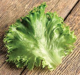MannBetterBurgerLeaf