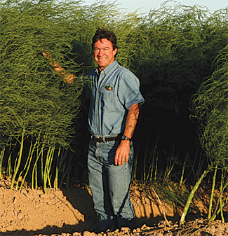 pablo borquez