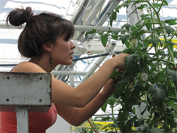 Lufa-Researcher-Aug-13