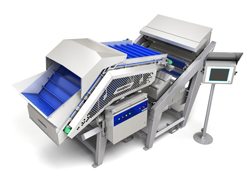 ODENBERG-halo-Sorter-Elorat