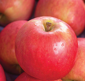 apple