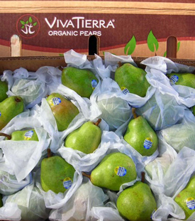 pears