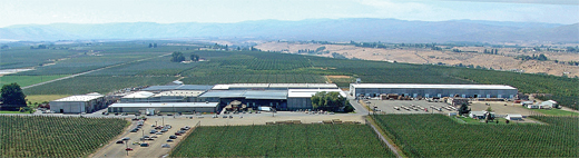 6 bortonmainplant