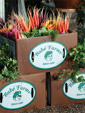Farmers-Market-Babe-boxes