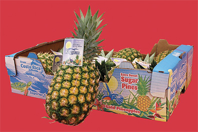 Kingston-pineapple-with-box