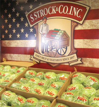 Strock-display