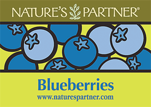 blueberry label
