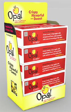 Opal-Merchandiser