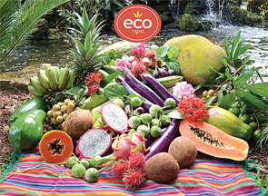 ECORIPE-TROPICALS-PRODUCT