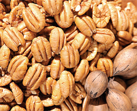 Ga-Pecan-update