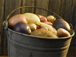 Potato-Varieties