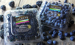 Berries