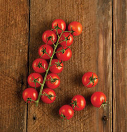 Cherry