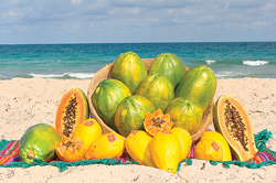 EcoripePapaya