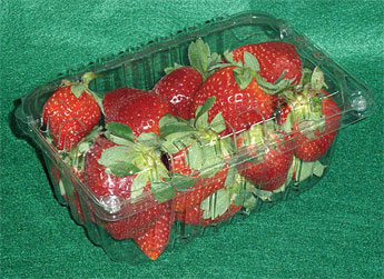 strawberryclamshell