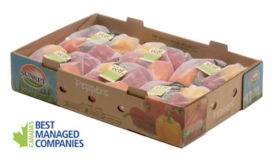 MPL-ECO-Pepper-Box-with-SUN