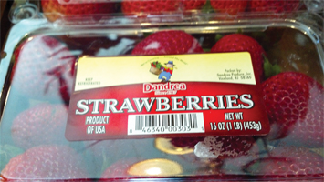 dandreastrawwberries